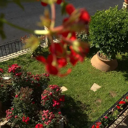 La Luna بلاك كالا